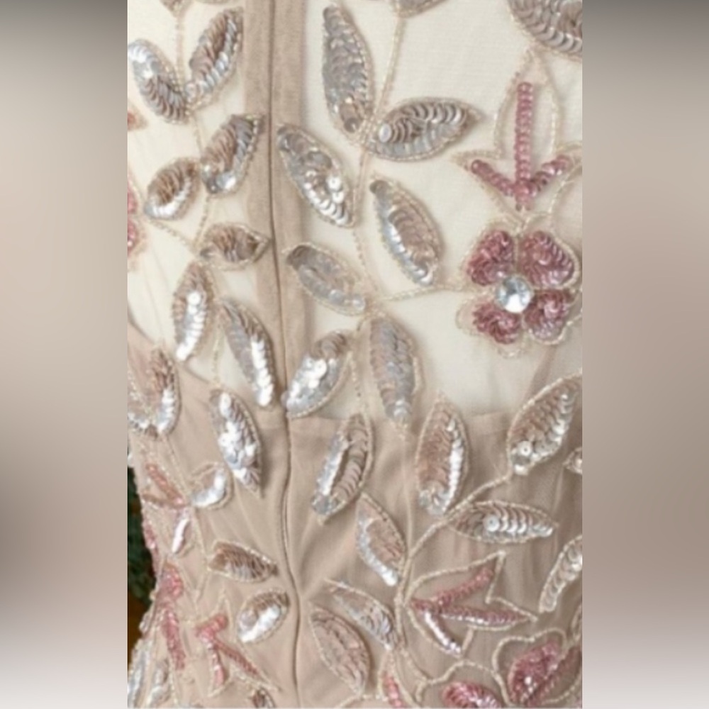 Adrianna Papell Sz 10, floor length, short sleeve, rose gown with sequins, beads - Picture 6 of 12